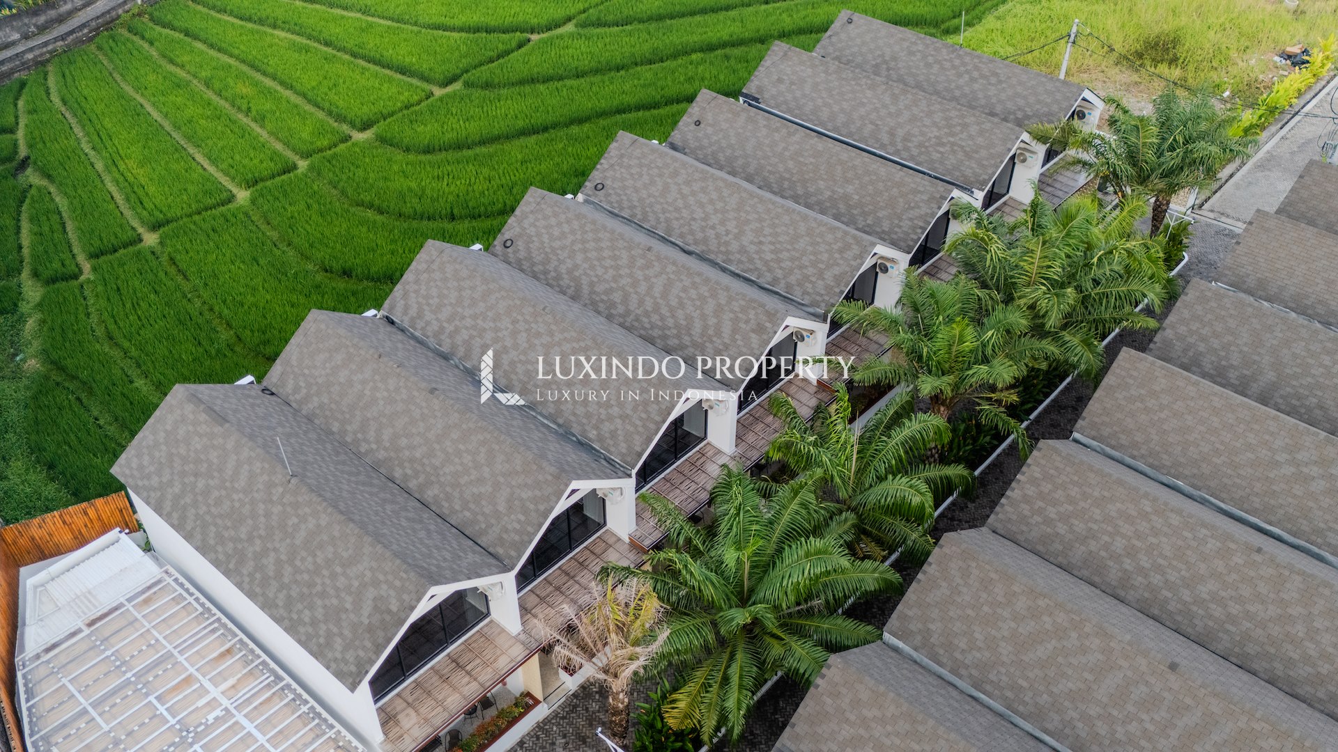 CANGGU – MODERN SMART TOWNHOUSE WITH RICE FIELD VIEW (LHV1041)